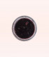 Confiture de Myrtille Bluecrop