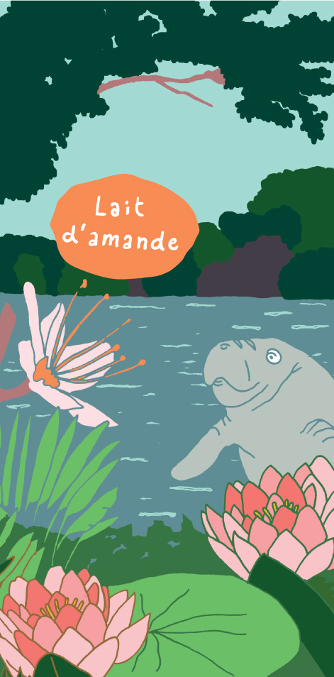Lait d'amande
